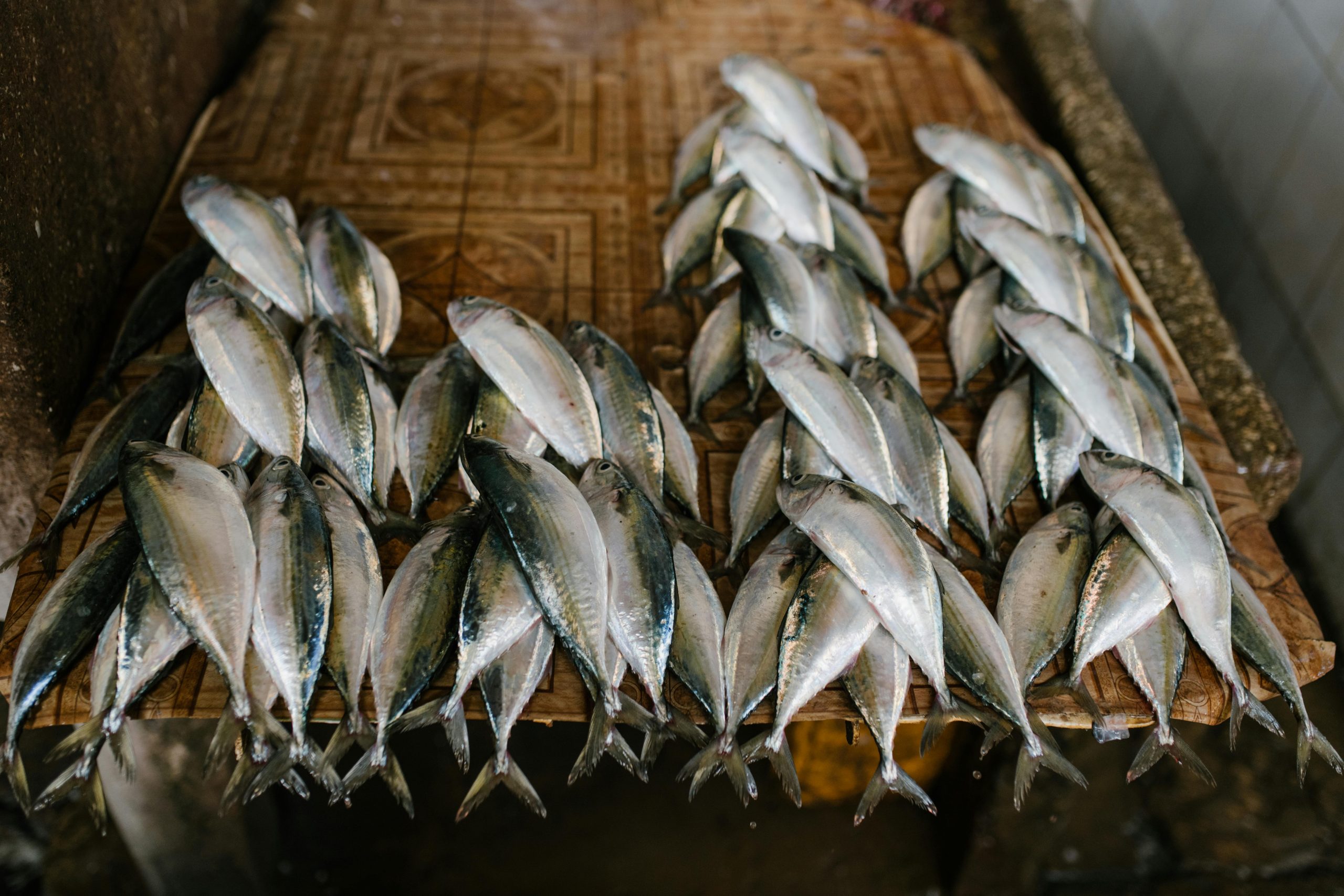 High angle of pile of raw fresh fish placed on counter at local bazaar
